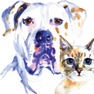 Low Cost Spay & Neuter Clinic logo