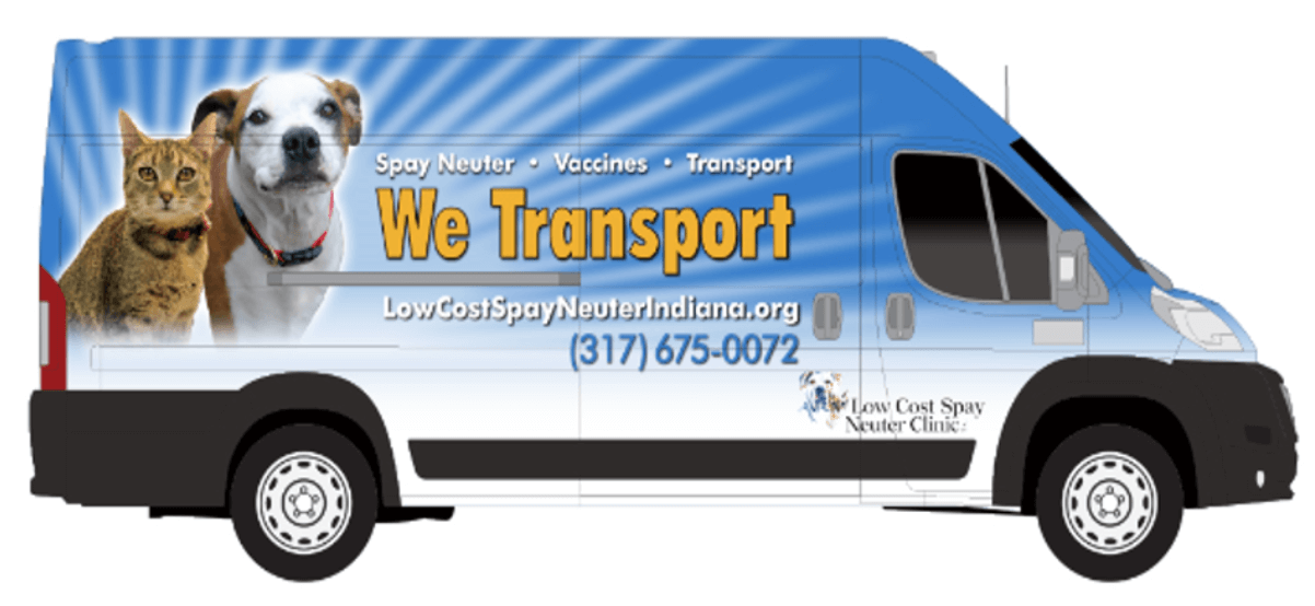 Low Cost Spay Neuter Clinic Low Cost Spay Neuter Clinic