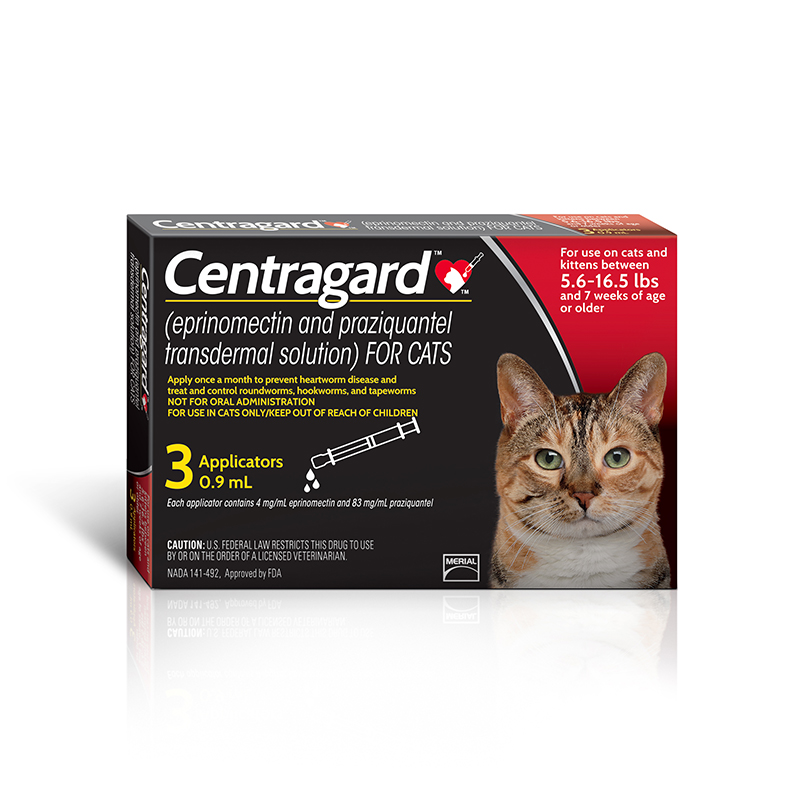 centragard Low Cost Spay Neuter Clinic centragard Low Cost Spay Neuter Clinic